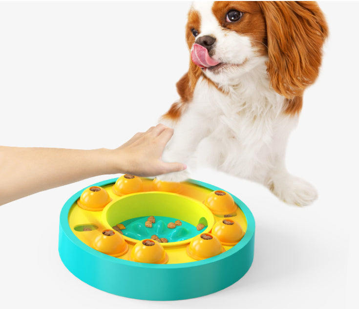Interactive Slow Feeder Puzzle Bowl