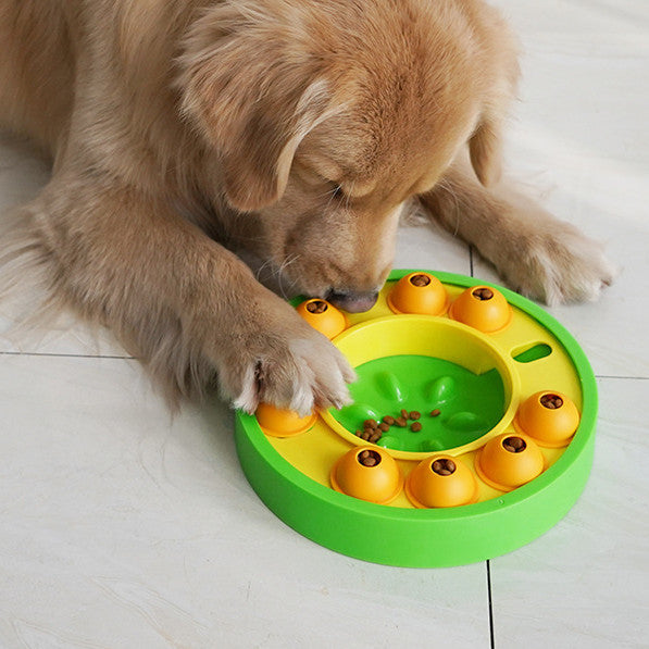 Interactive Slow Feeder Puzzle Bowl