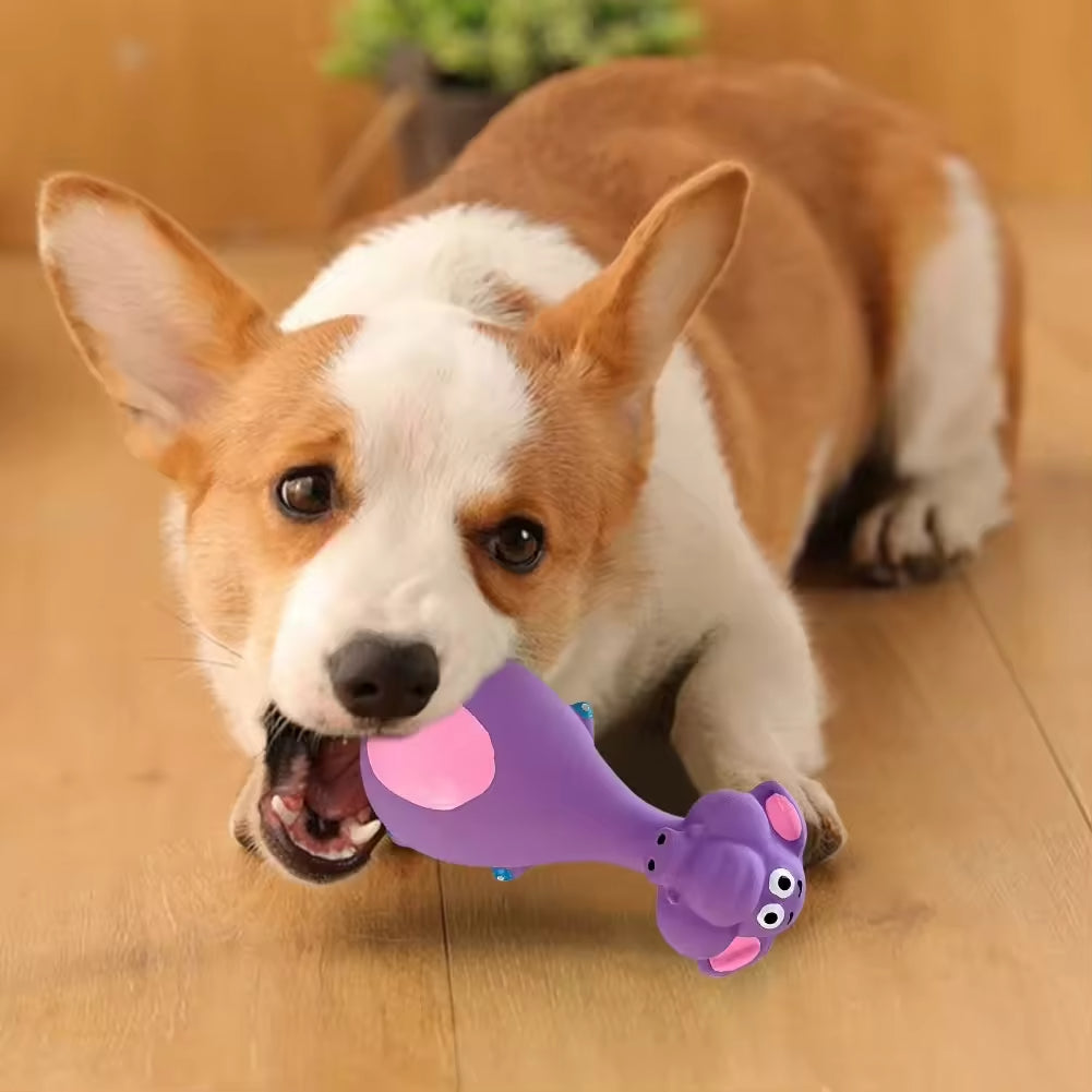 Dental Chew Set for Dogs