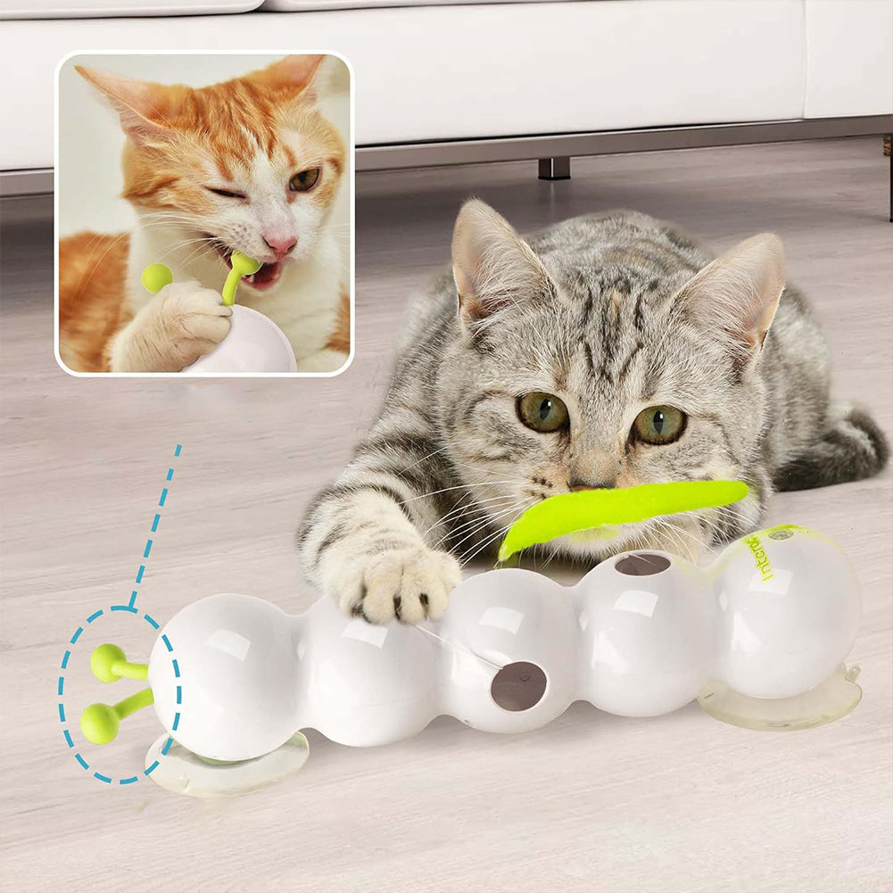 Interactive Suction Cup Cat Teaser Toy