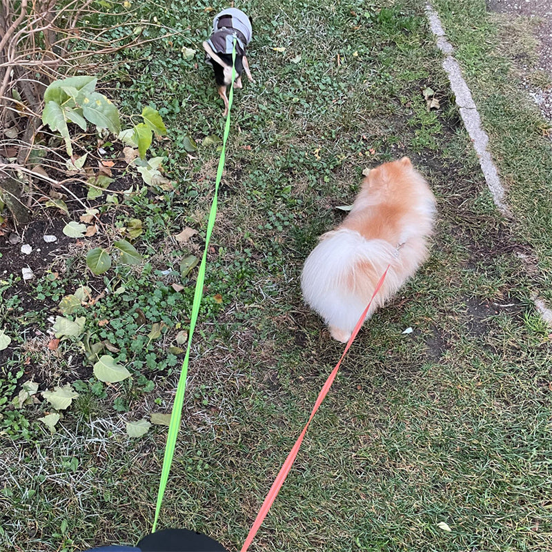 Retractable Dual Dog Leash with Light