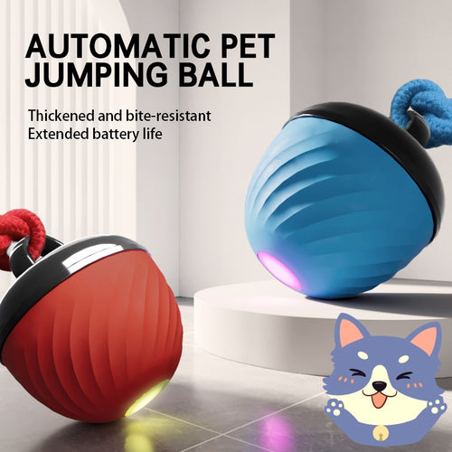 Automatic Interactive Pet Toy Ball