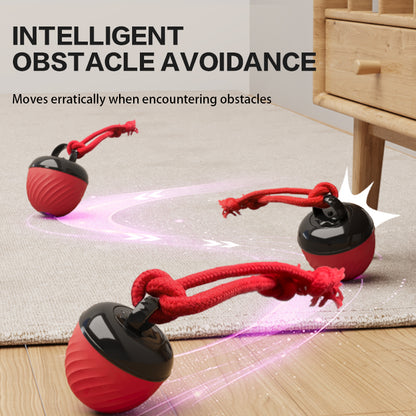 Automatic Interactive Pet Toy Ball