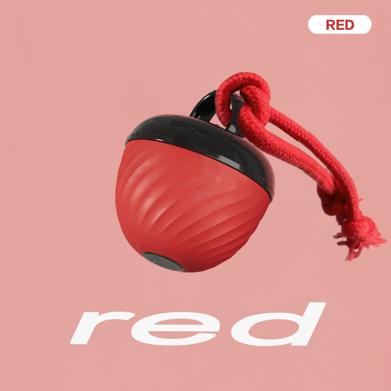 Automatic Interactive Pet Toy Ball