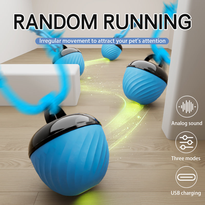 Automatic Interactive Pet Toy Ball