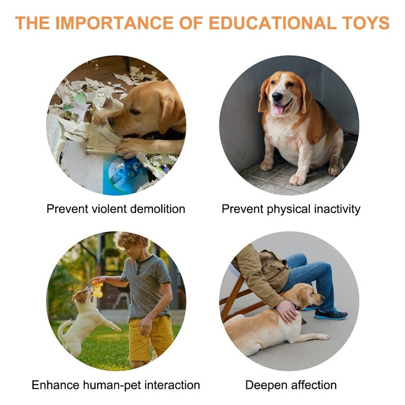 Recordable Pet Communication Button